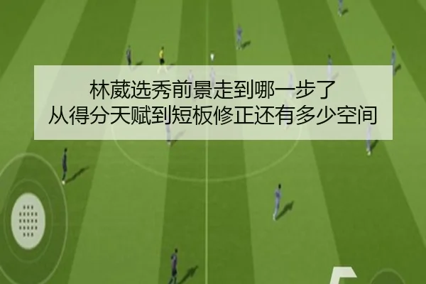 林葳选秀前景走到哪一步了 从得分天赋到短板修正还有多少空间 - YOBOsports