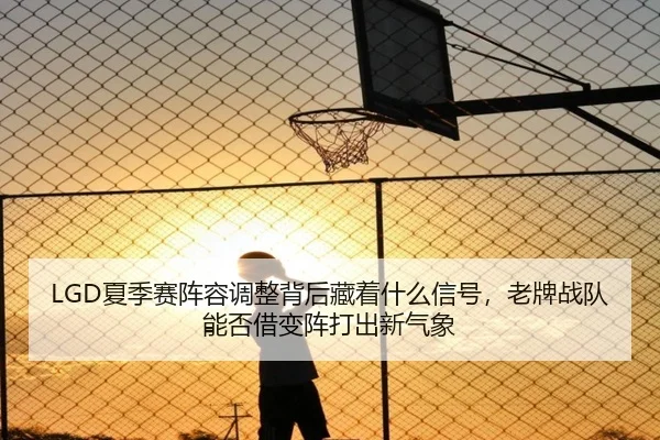 LGD夏季赛阵容调整背后藏着什么信号，老牌战队能否借变阵打出新气象 - YOBOsports